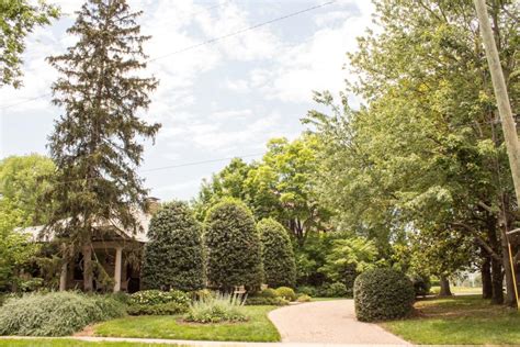 Our Work Adams Arbor Care Tree Service Professionals