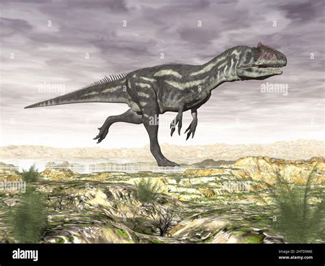 Allosaurus Dinosaur In The Desert 3d Render Stock Photo Alamy