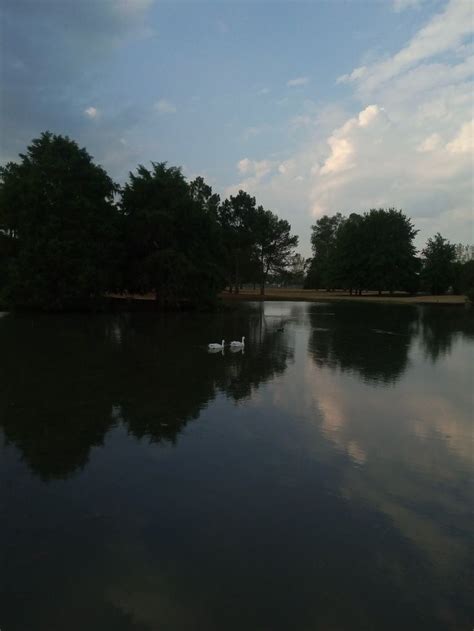 The Sky Is Reflected In The Water Near Some Trees And Bushes On The