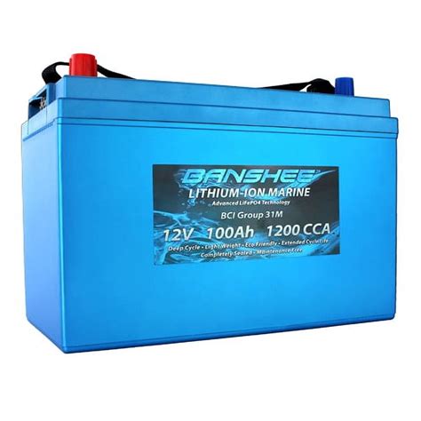 Deep Cycle Lithium Ion Marine Battery Group Dual Terminal Replaces