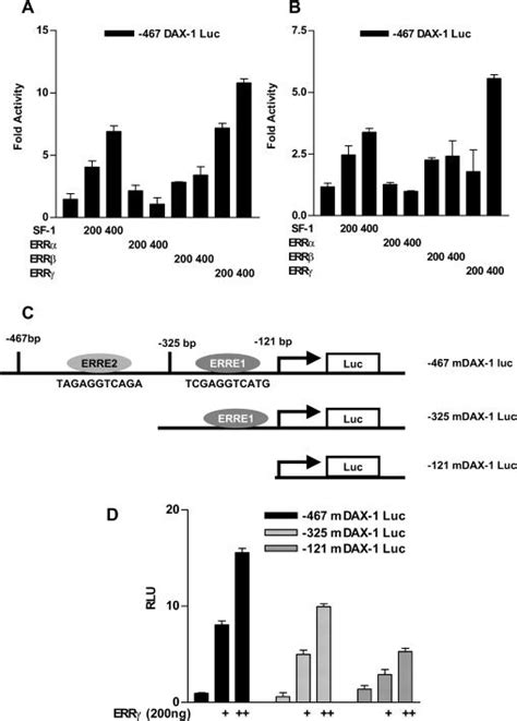 Err Activates Dax Gene Promoter A And B Transcriptional