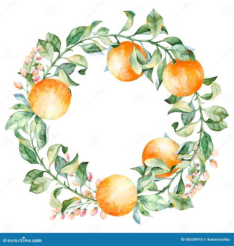 Vector Em Volta Do Quadro Da Laranja E Das Flores Da Aquarela Grinalda