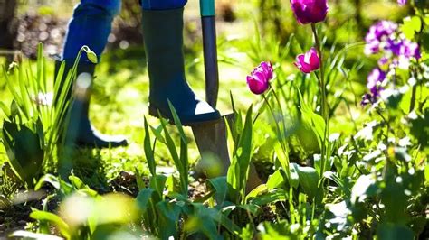 Comment créer un jardin écologique et respectueux de l environnement