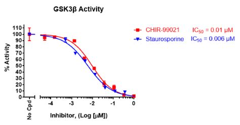 Chemi Verse™ Gsk3β Kinase Assay Kit