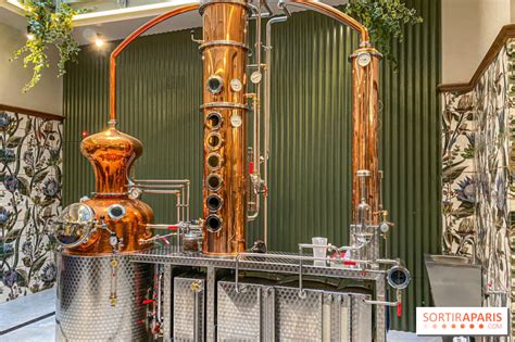 La Distillerie De L Arbre Sec Our Photos Of The Gin Creation Workshop