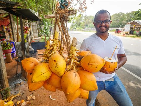 Quenching Thirst With The Sri Lankan King Coconut Thembili