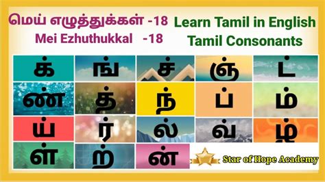 Mei Ezhuthukkal Learn Tamil In English Tamil Consonants 18 45 Off