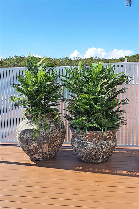 Latest Uv Treated Artificial Plants Outdoor For Great Looks