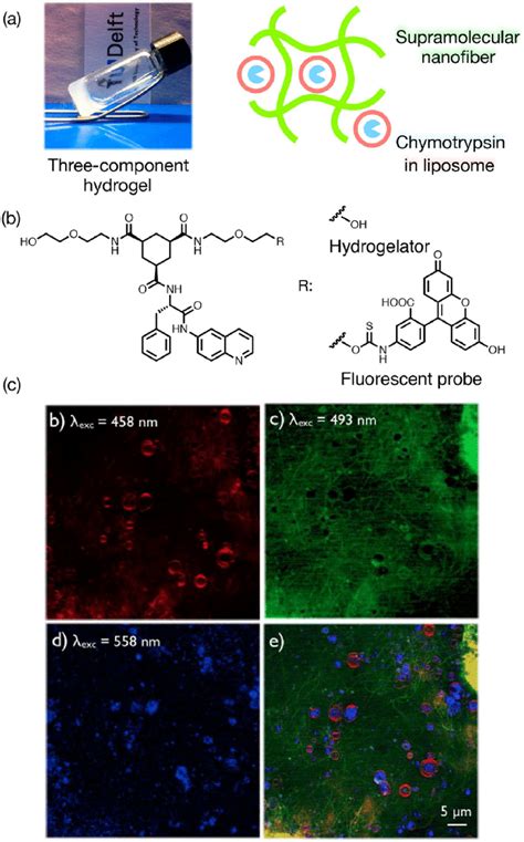 A A Multicomponent Supramolecular Hydrogel With Enzyme Embedding