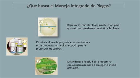 Manejo Integrado De Plagas Mip Ppt