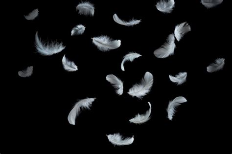 Premium Vector Flying Feathers Falling Twirled Fluffy Realistic