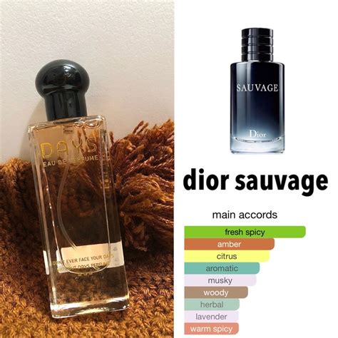 Jual Days Perfume Dior Sauvage Shopee Indonesia