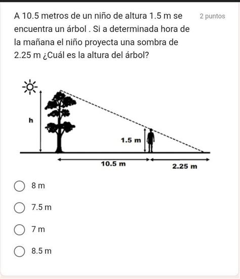 A 10 5 metros de un niño de altura 1 5 m se encuentra un árbol Si a