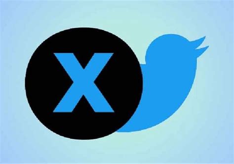 Elon Musk Replace Twitter Blue Bird With New X Logo