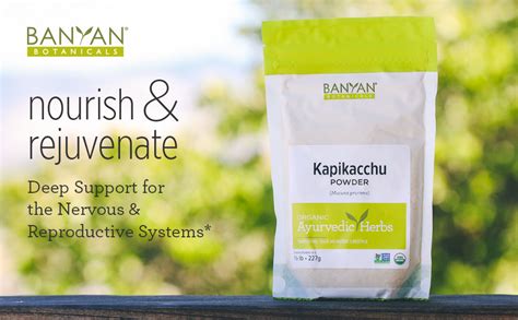 Amazon Banyan Botanicals Kapikacchu Powder 1 2 Pound USDA