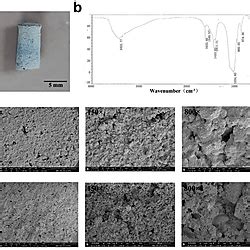 Characterization Of Cms Gm Tcp Gelatin Composite Scaffolds