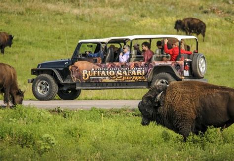 10 Best Wildlife Safaris In The Usa Attractions Of America