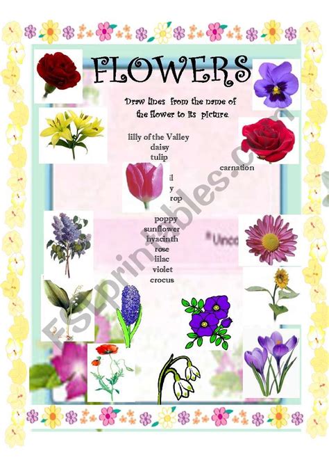 FLOWERS ESL Worksheet By Denisa