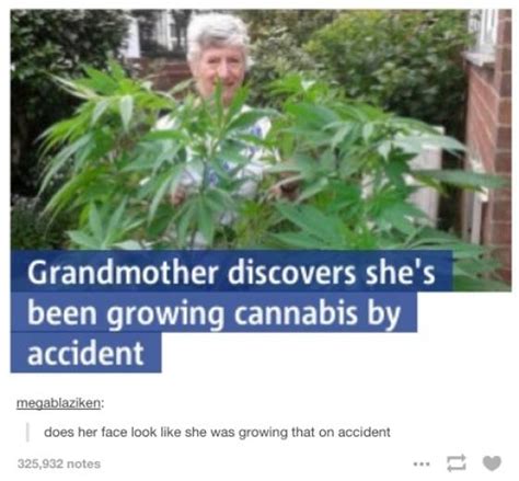 Weed Memes | Fun