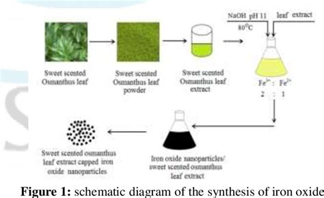 [PDF] Synthesis of Iron Oxide Nano Particles by the Use of Osmanthus Fragrance Leaf Extract ...