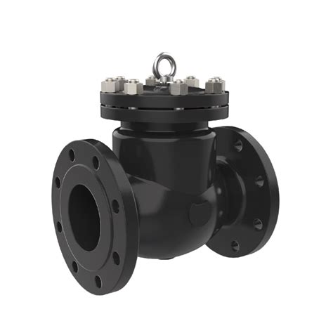 Swing Check Valves Bore Valves