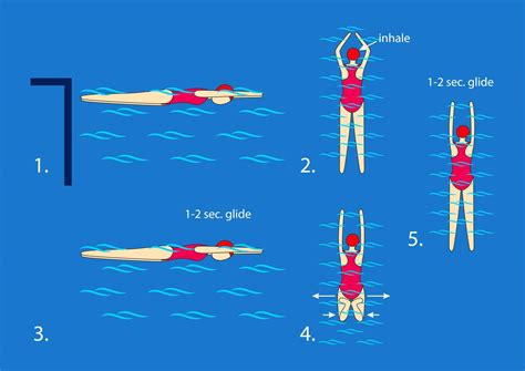 To Swim Breaststroke With Splits Start From Scrolling Arrow With