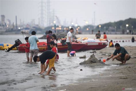 Libur Lebaran Ancol Perkenalkan Biota Baru Di Sea World Antara News