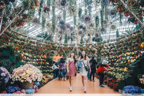 Garden Pod New Hotel At Gardens By The Bay With Container Rooms