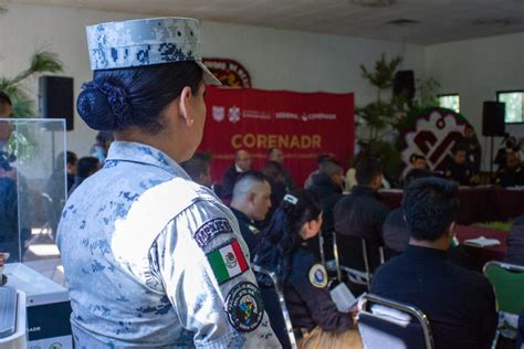 Suman Fuerzas Sedema Profepa Ssc Guardia Nacional Y Sedena Para