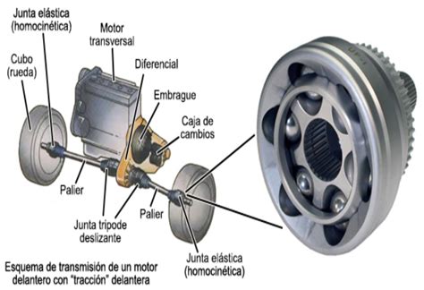 Homocin Ticas Qu Son Y Cu Ndo Cambiarlas Autofact