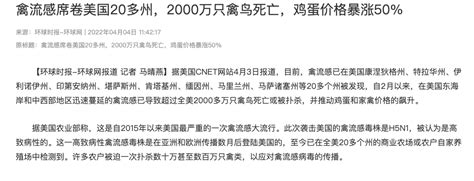 欧洲暴发史上最大规模禽流感，4800万只禽类被扑杀，当地情况如何？禽流感为何屡屡暴发、无法消灭？ 知乎