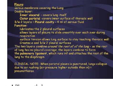 Figure 1 from Physiology of the pleural space. | Semantic Scholar