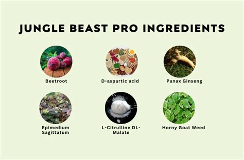 Jungle Beast Pro Ingredients • Dumb Little Man