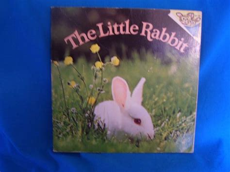 Vintage 1980 Book The Little Rabbit By Judy Dunn Etsy Rabbit Five