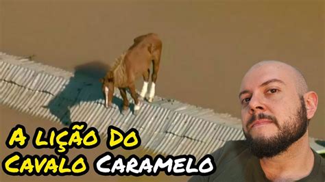 Persistencia A lição do Cavalo Caramelo YouTube