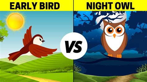 Early Birds Vs Night Owls Youtube