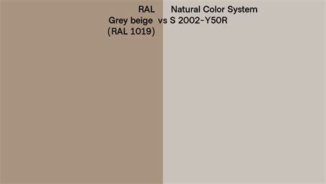 Ral Grey Beige Ral 1019 Vs Natural Color System S 2002 Y50r Side By