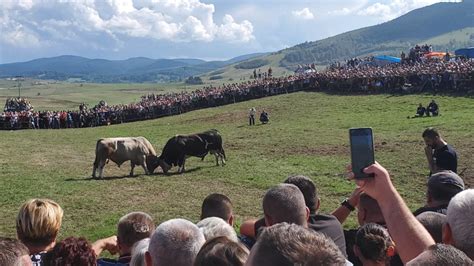 I Ovo Smo Do Ekali U Bih Se Gradi Moderna Arena Za Borbe Bikova Video