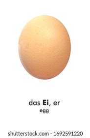 german food word card das ei stock photo  shutterstock