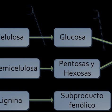 Proceso De Producci N De Bioetanol De Segunda Generaci N Residuos