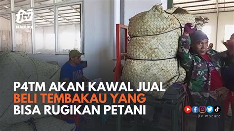 Siap Berikan Advokasi P4TM Akan Kawal Praktek Jual Beli Tembakau Yang