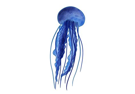 How To Draw A Jellyfish Design School