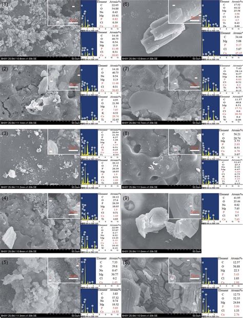 Surface Morphologies And Elemental Composition Of Samples A A And