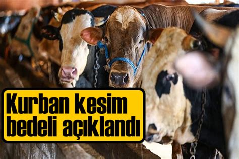 Diyanet açıkladı Vekaletle kurban kesim bedeli belli oldu Güncel