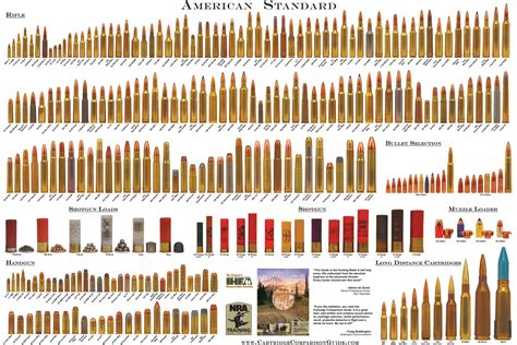 High Powered Rifle Calibers Chart