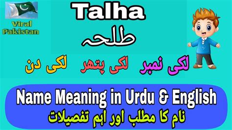 Meaning Of Talha Name And Its Complete Information Youtube