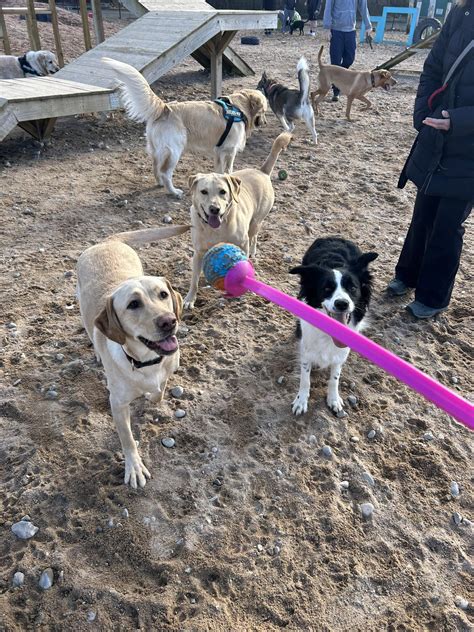 Unleashed Dog Parks added a new... - Unleashed Dog Parks