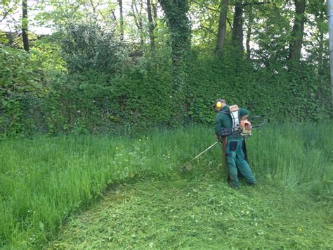 Débroussaillage De Hautes Herbes Maillefer Paysagiste Sa Genève