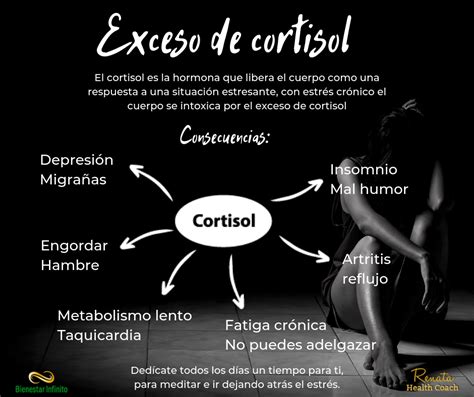 Exceso De Cortisol Cortisol Estres Nutricion Y Salud Consejos