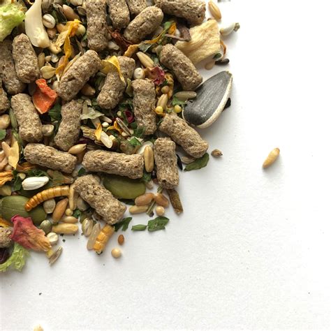 100g Syrian Hamster Food Mix With Pellets Trial Package Etsy